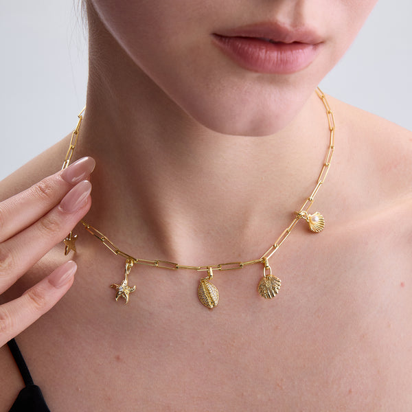 VFD0806 Scallop Summer Charm