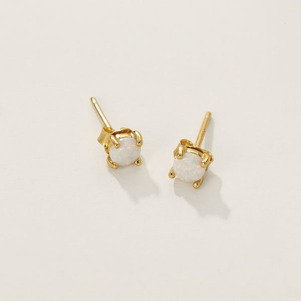 FE2043 Turquoise Claw Set Stud Earrings