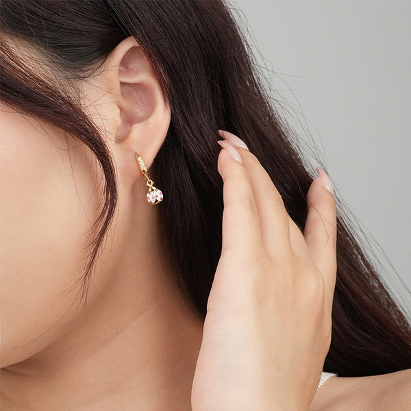 FE2491 925 Sterling Silver Coccinella Septempunctata CZ Stone Dangle Earrings