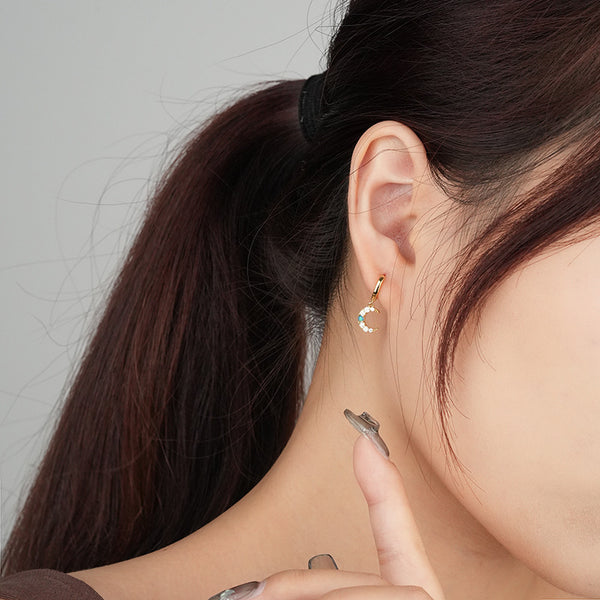 FE2996 925 Sterling Silver Crescent and Star Dangle Earring