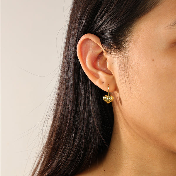 FE2383 925 Sterling Silver Plump Heart Earrings