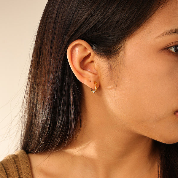 FE2846 925 Sterling Silver Pave Diamond CZ Hoop Earrings