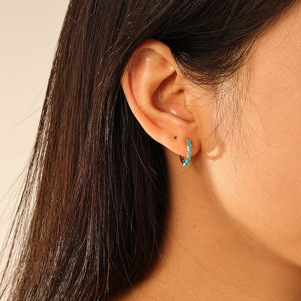 FE2846 925 Sterling Silver Pave Diamond CZ Hoop Earrings