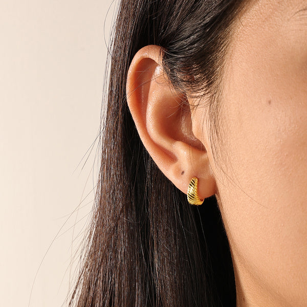 FE2075 FE2102 FE2103 925 Sterling Silver Classic Personalized Twisted Hoop Earrings