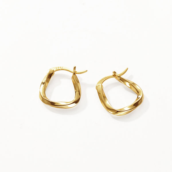 FE3103 Geometric Hoop Earring