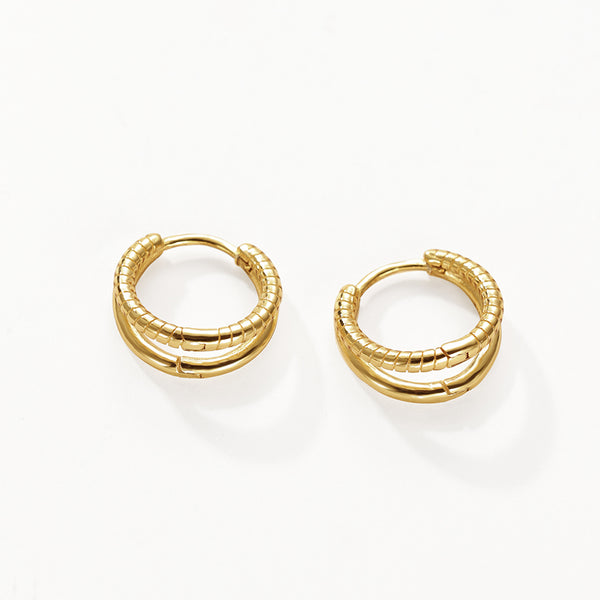 FE3104 Double Hoop Earring