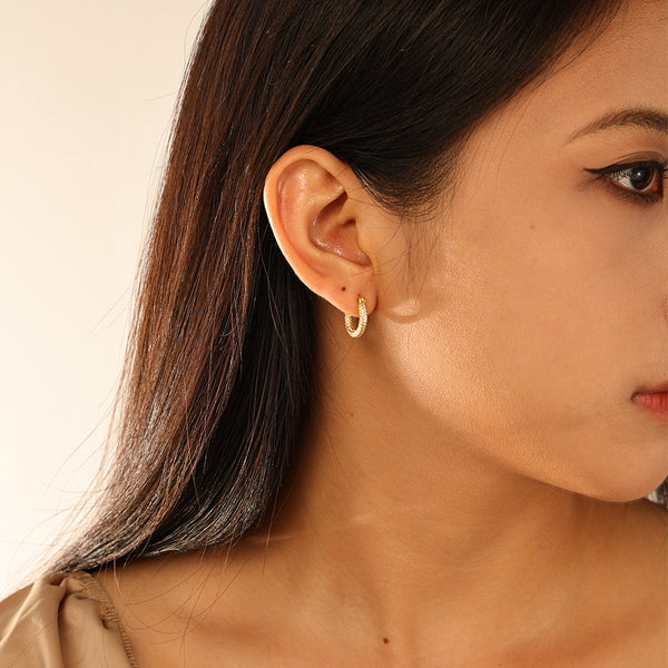 FE2937 925 Sterling Silver Full CZ Hoop Earring