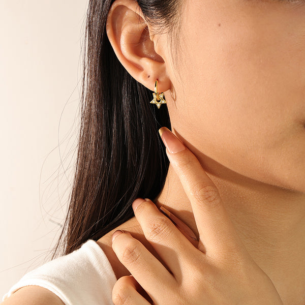 FE2179 925 Sterling Silver CZ Star Hoop Earrings