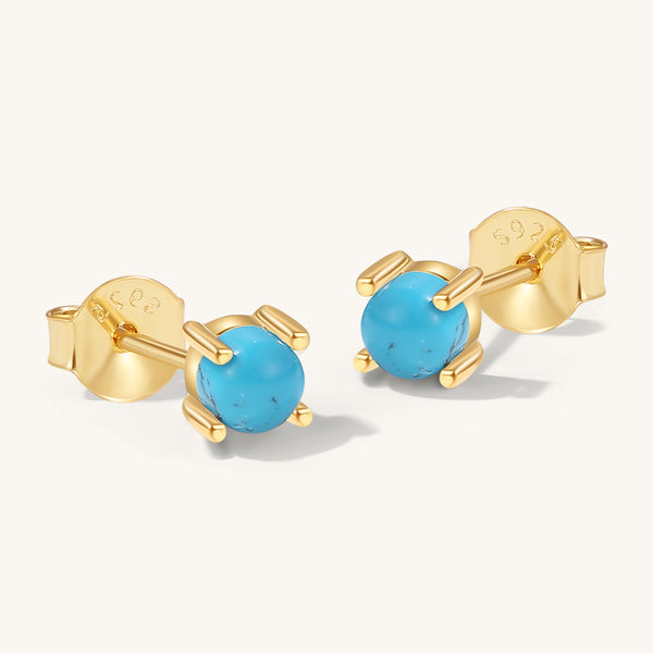 FE2043 Turquoise Claw Set Stud Earrings