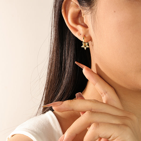 FE2179 925 Sterling Silver CZ Star Hoop Earrings