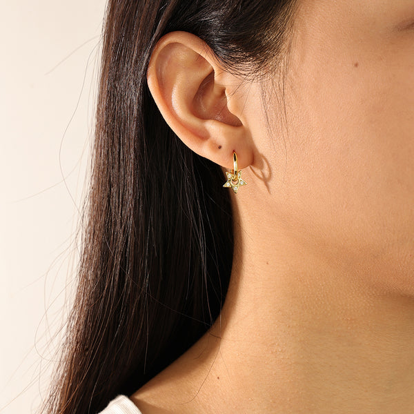 FE2179 925 Sterling Silver CZ Star Hoop Earrings