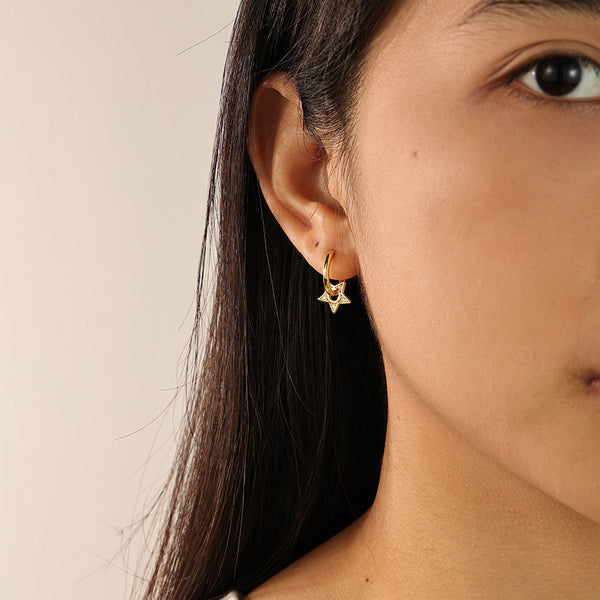 FE2179 925 Sterling Silver CZ Star Hoop Earrings