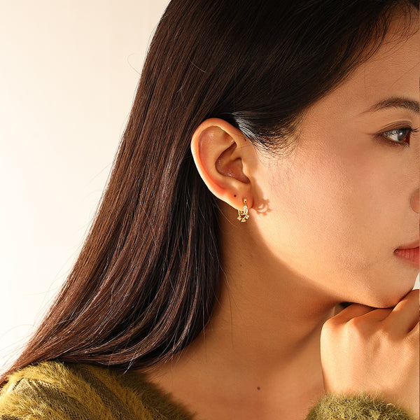 FE3189 Double Circle Flower Zirconia Earring