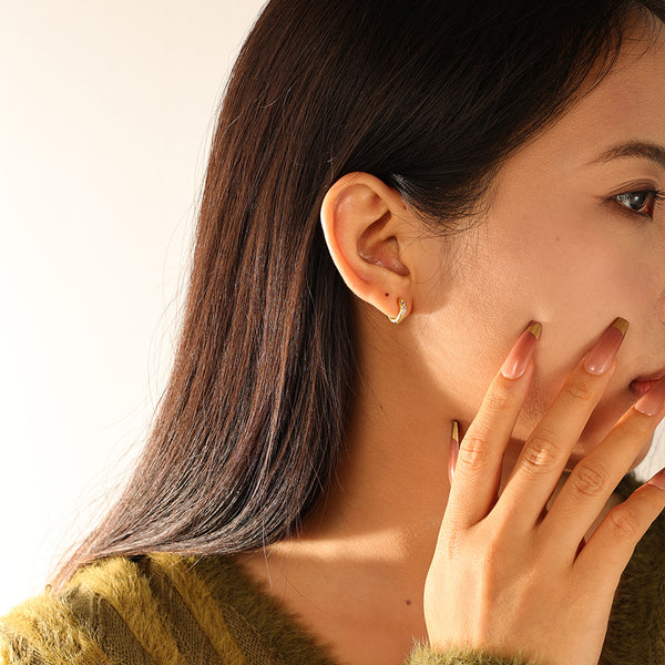 FE3131 Women Zirconia Hoop Earring