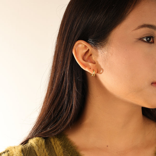 FE3104 Double Hoop Earring