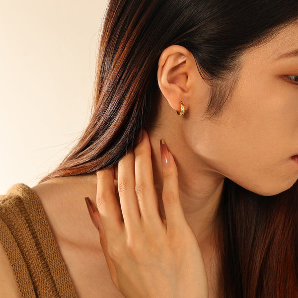 FE2878 925 Sterling Silver Inlaid Diamond Hoop Earrings