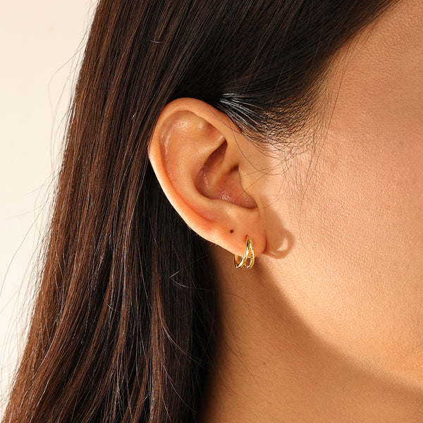 FE3104 Double Hoop Earring