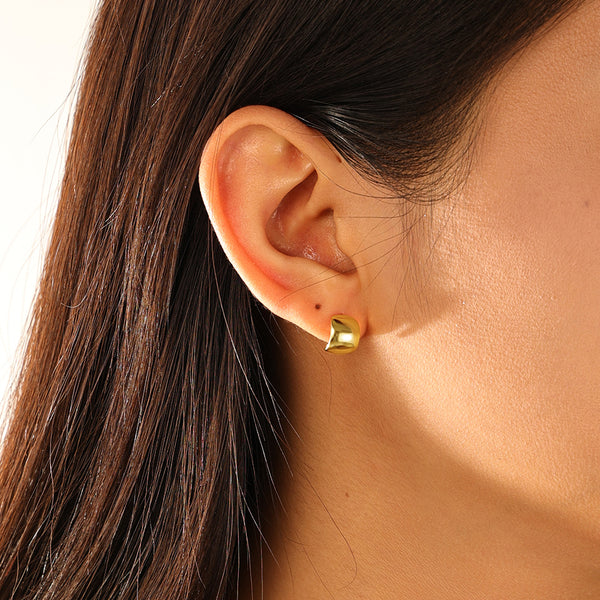 FE3121 High Polish Stud Earring