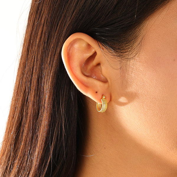 FE3160 Chunky Hoop Earring
