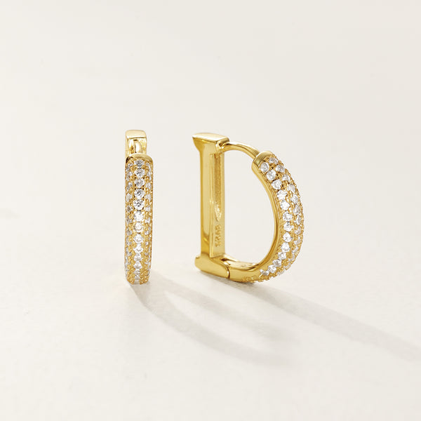 FE2776 925 Sterling Silver Pave CZ Capital D Hoop Earring