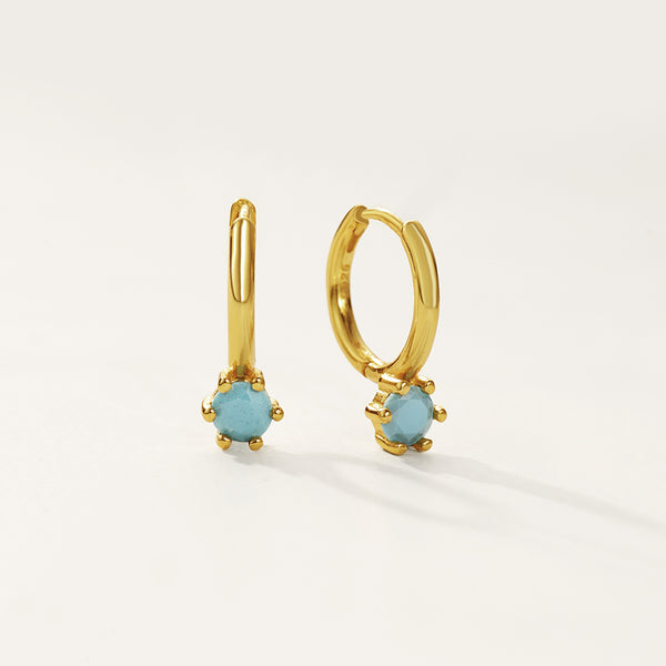 FE2832 Various stone earrings