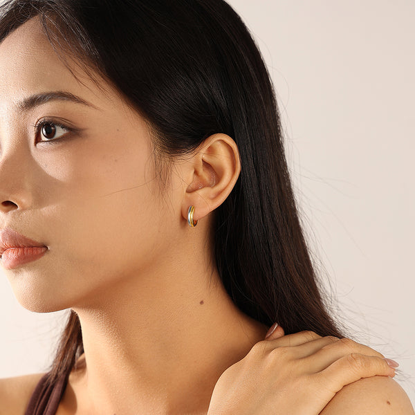 VFE0705 Two Tone Earrings