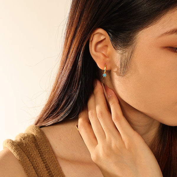 FE2832 Various stone earrings