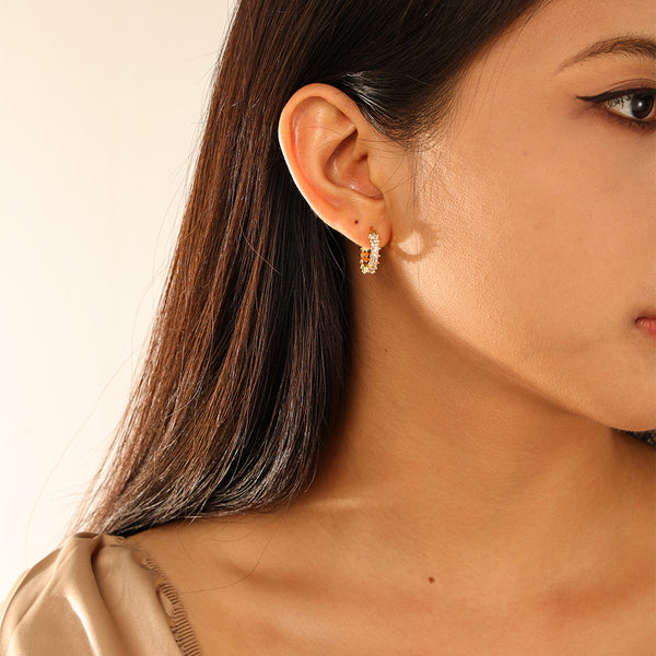 FE2933 925 Sterling Silver Luxury CZ Hoop Earring