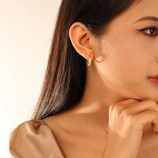 FE2933 925 Sterling Silver Luxury CZ Hoop Earring