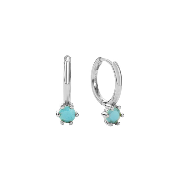 FE2832 Various stone earrings