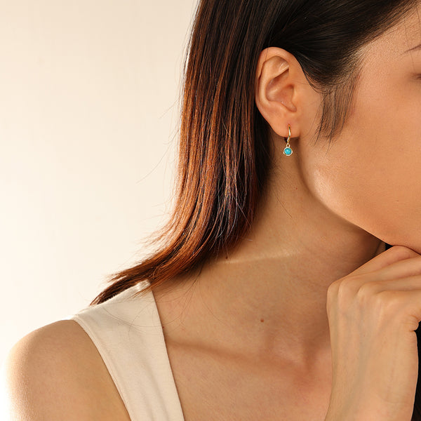 FE2924 Stacking Dangle Earrings