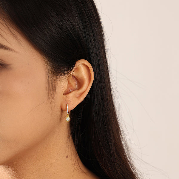 VFE0687 Dainty CZ Drop Earrings