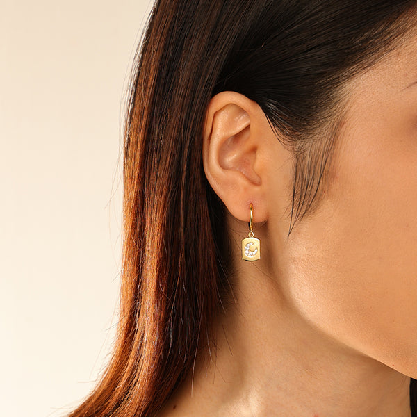 FE2955 925 Sterling Silver Square Plate CZ Moon Dangle Earring