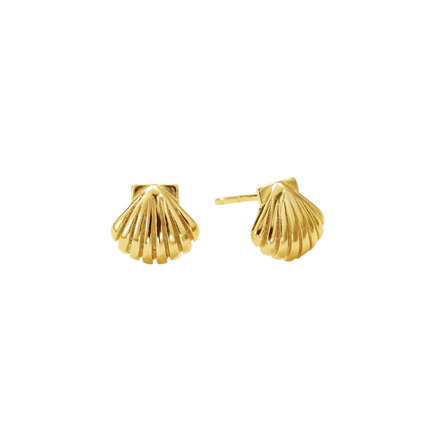 FE3125 Mini Pectinid Stud Earring