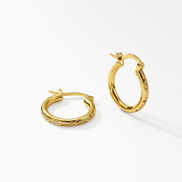 VFE0069 Minimalist Zirconia Hoop Earrings