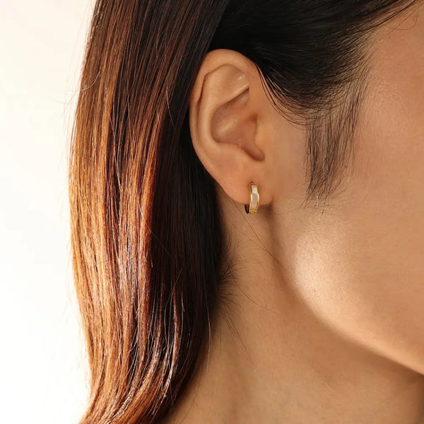 FE2061 Inlay Mother Of Pearl Hoop Earrings