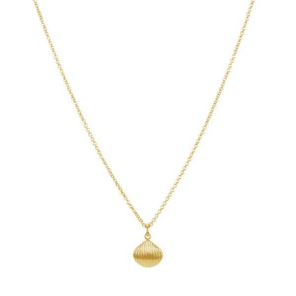 FX0297 925 Sterlng Silver Striped Shell Necklace