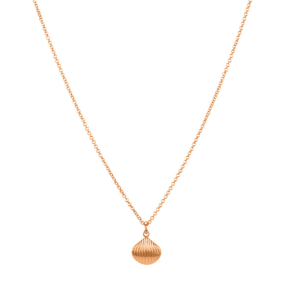 FX0297 925 Sterlng Silver Striped Shell Necklace