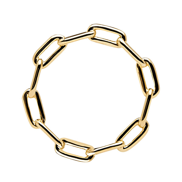 FJ0227 925 Sterling Silver Chain Ring