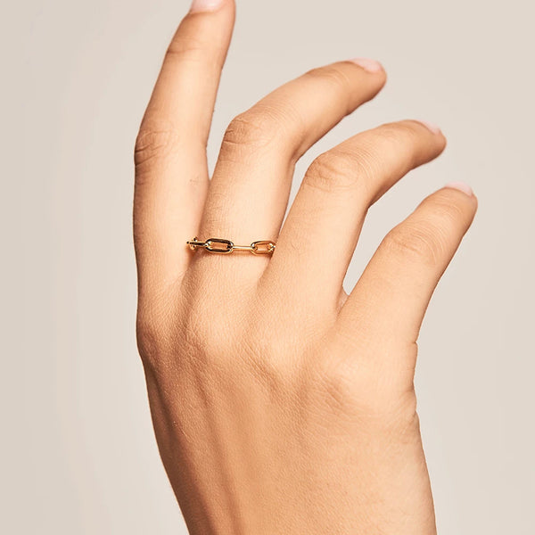 FJ0227 925 Sterling Silver Chain Ring