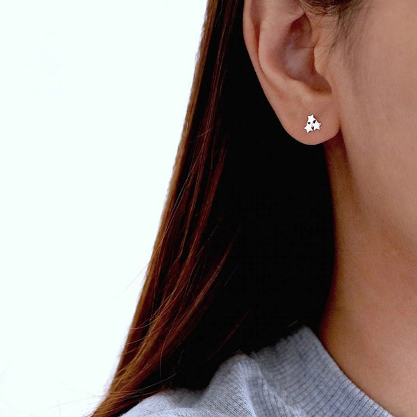 FE0139 925 Sterling Silver Double Sparkle Stud Earrings