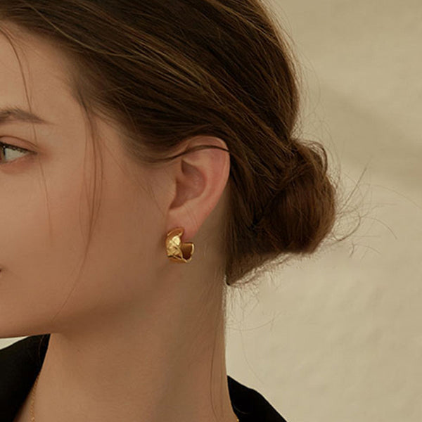 FE1192 925 Sterling Silver Trendy Hoop Earring For Women