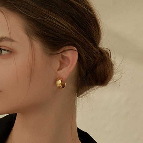 FE1192 925 Sterling Silver Trendy Hoop Earring For Women