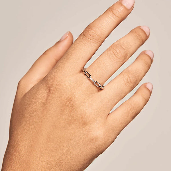 FJ0227 925 Sterling Silver Chain Ring