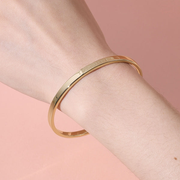 FS0301 925 Sterling Silver Thrilling Bangle