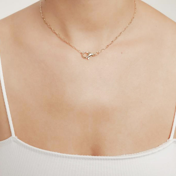 FX0430 925 Sterling Silver Classic Lock Necklace