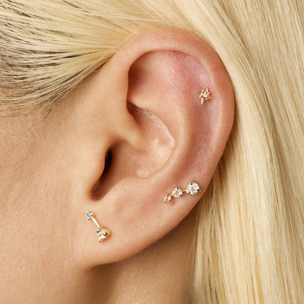 FE1559 925 sterling Silver Star Cubic Zircon Stud Earrings