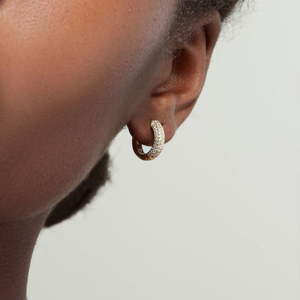 FE1596 925 Sterling Silver Pave Zircon Hoops Earrings