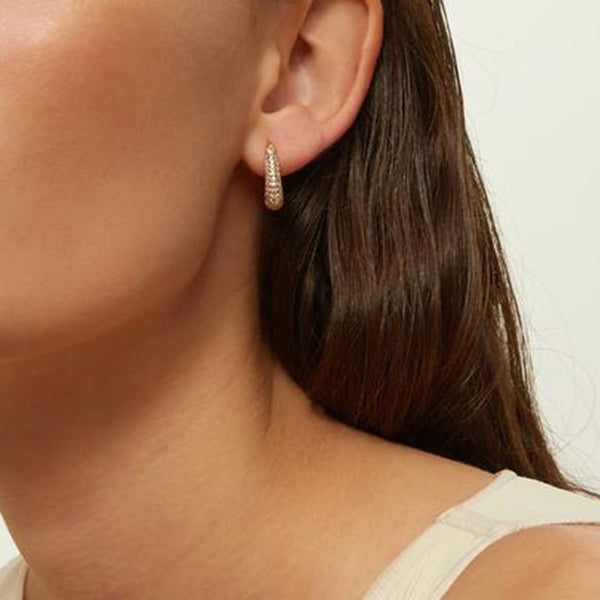 FE1611 925 Sterling Silver Gold Zircon Hoop Earrings