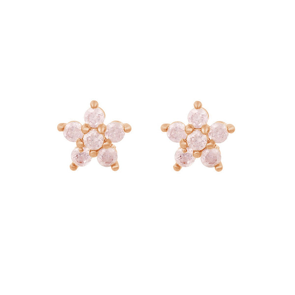 FE1566 925 Sterling Silver Star Zircon Stud Earrings